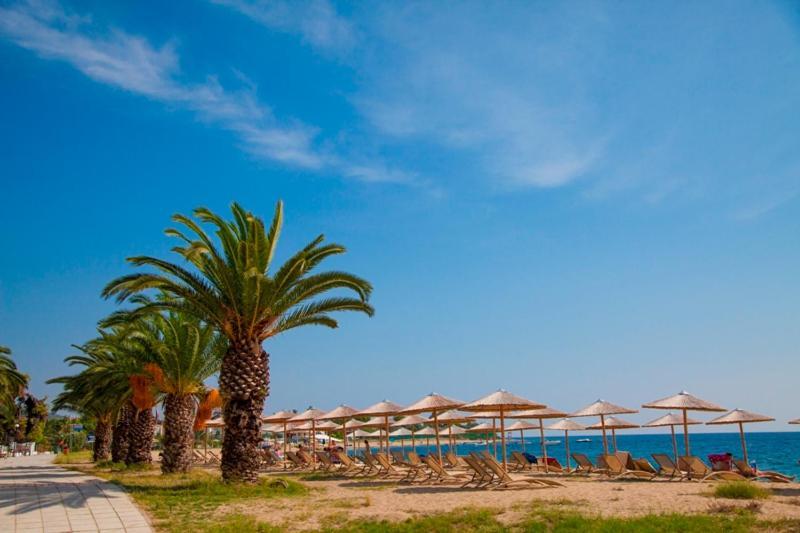 Olympion Beach Hotel Gerakini Exterior photo